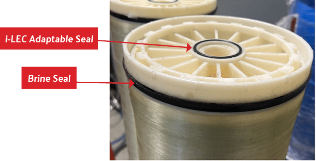 Membrane Seals